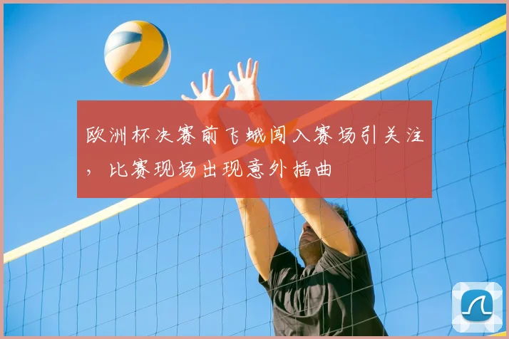 欧洲杯决赛前飞蛾闯入赛场引关注，比赛现场出现意外插曲