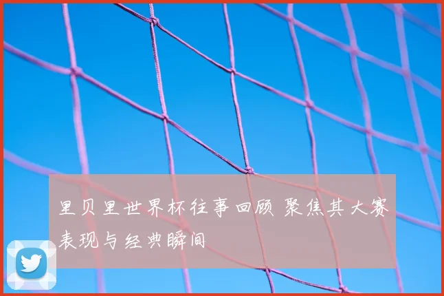 里贝里世界杯往事回顾 聚焦其大赛表现与经典瞬间