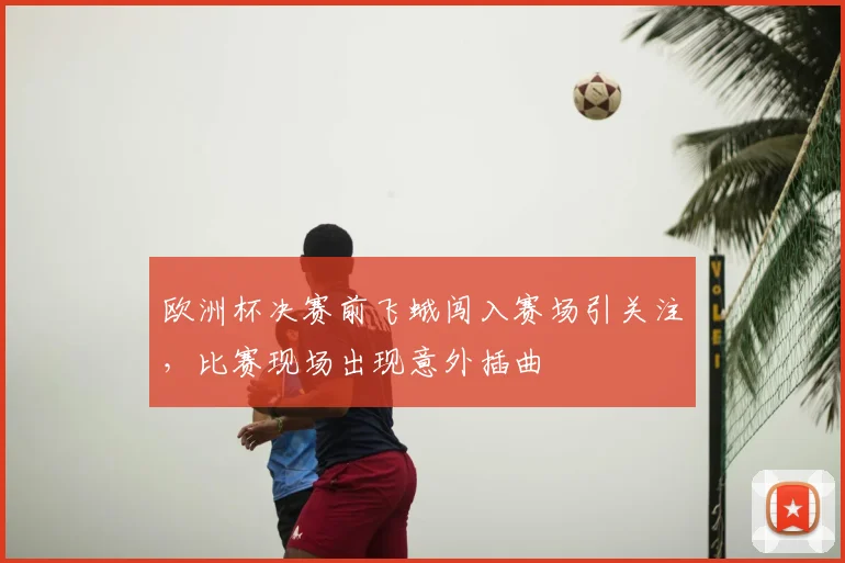 欧洲杯决赛前飞蛾闯入赛场引关注,比赛现场出现意外插曲